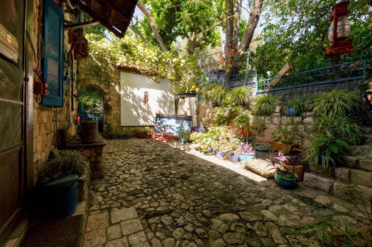 Villa Tehila - By V Club Chain โรชปินนา ภายนอก รูปภาพ
