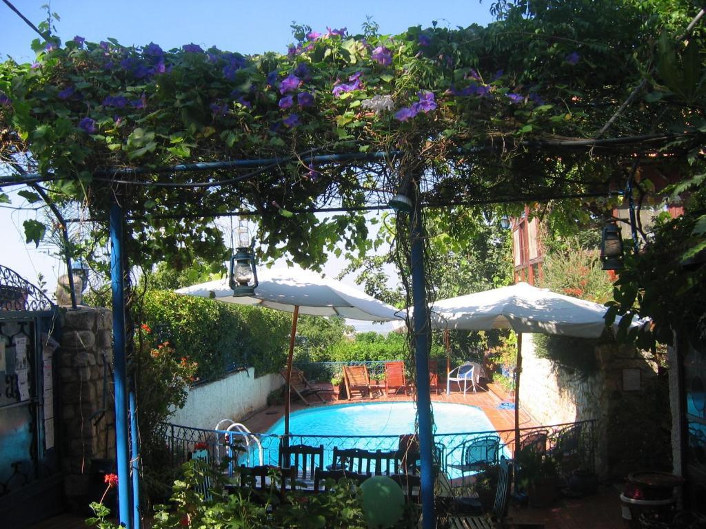 Villa Tehila - By V Club Chain โรชปินนา ภายนอก รูปภาพ